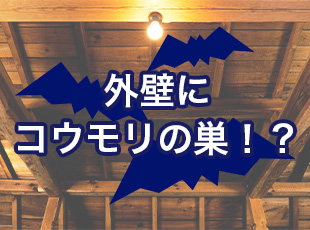 外壁にコウモリの巣！？健康被害を防ぐ予防策と即日対策