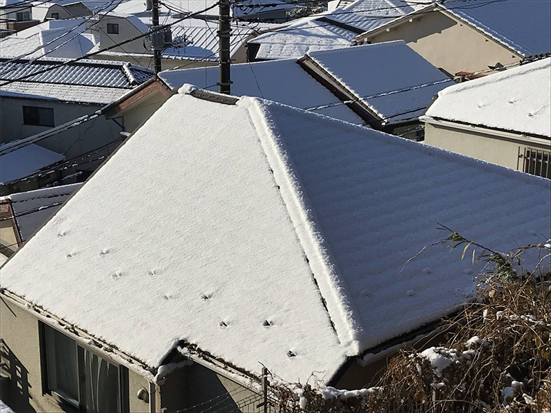 積雪した街の屋根の様子