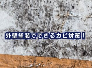 外壁塗装でできるカビ対策！外壁にカビが発生する原因と除去方法を解説